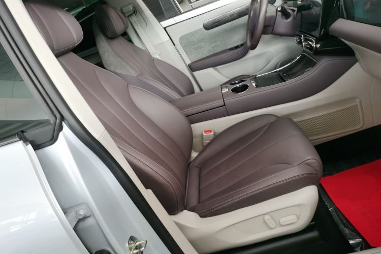 Used Leapmotor C11 2021 Zhixing Edition 510
