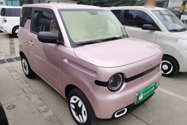 Used  Panda 2025 210 km – Yuanqi Bear