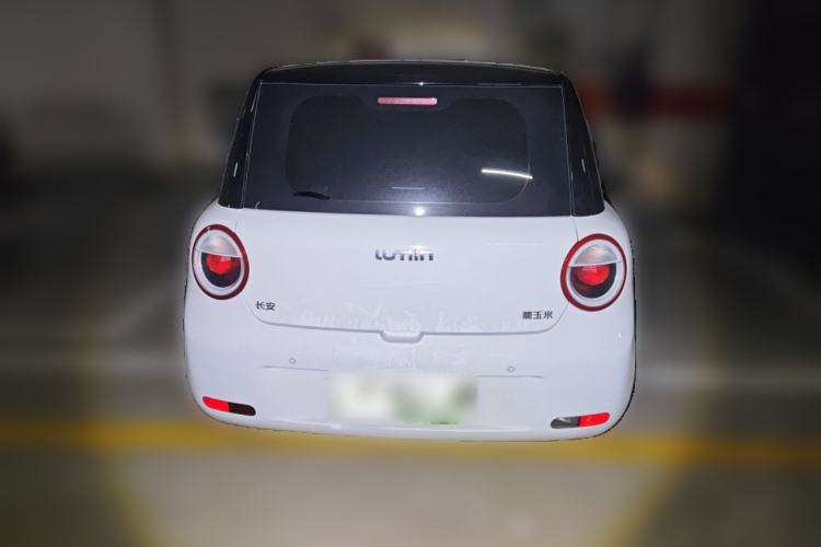 Used  Lumin 2024 301km Launch Edition