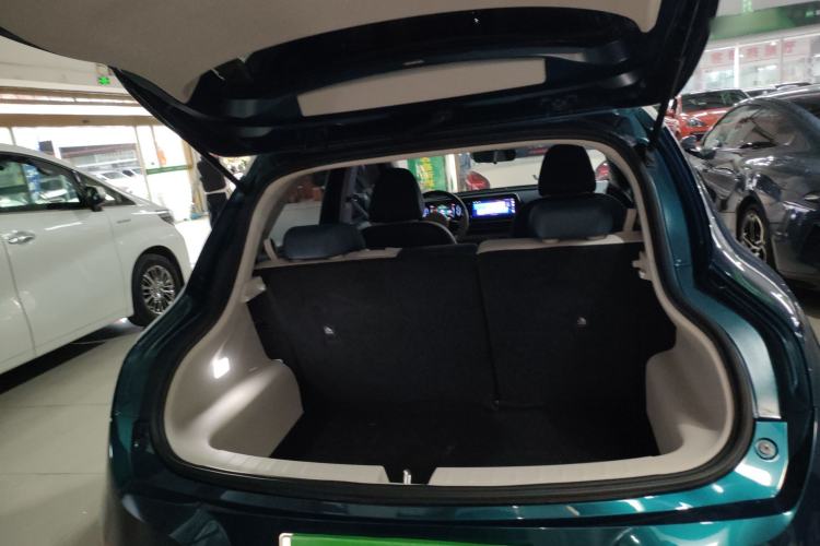 Used ORA Good Cat 2022 Morandi Edition 400km Standard Range Luxury Version Lithium Iron Phosphate
