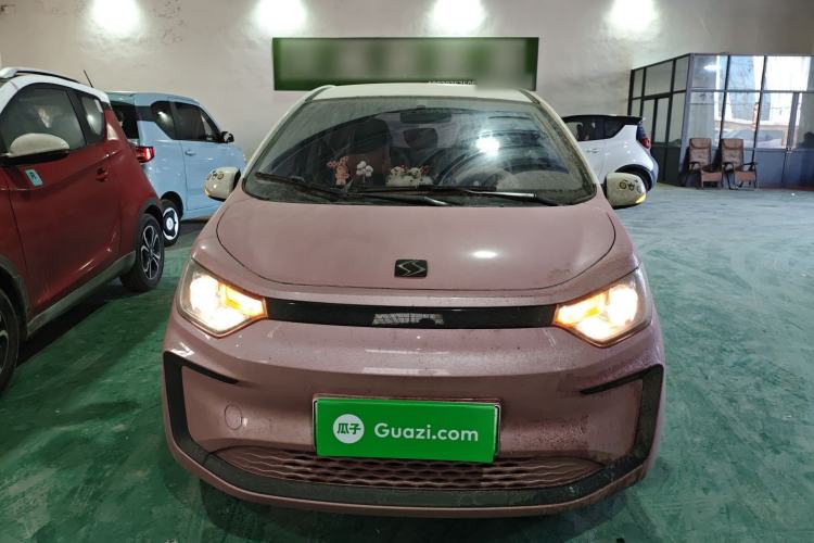 Used SOL E10X 2022 Flower Fairy Style Baby's Breath