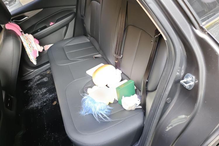 Used Wuling Xingguang 2024 Co-Creation Edition 150 Flagship Model
