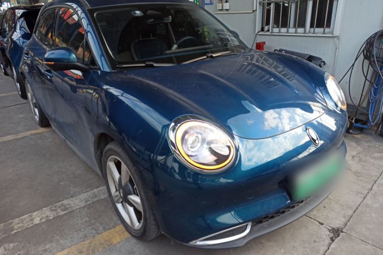 Used ORA Good Cat 2023 401 km Standard Range Luxury Version Lithium Iron Phosphate