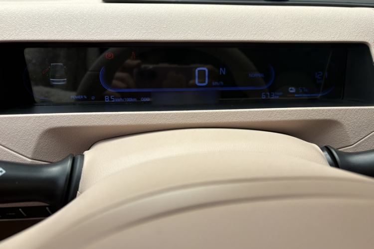 Used  Panda 2023 Panda Mini 200km Endurance Bear