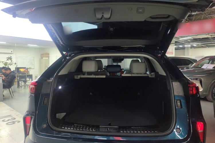 Used Wey Mocha 2021 2.0T Four-Wheel Drive Premium Edition
