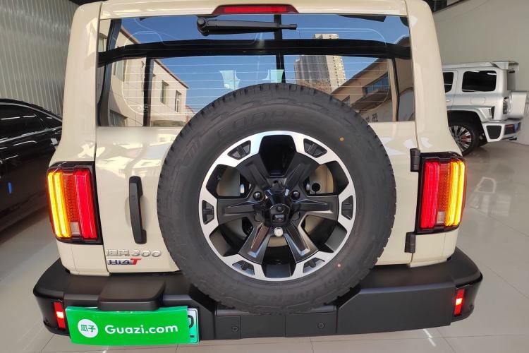 Used Tank 300 New Energy 2025 Hi4-T