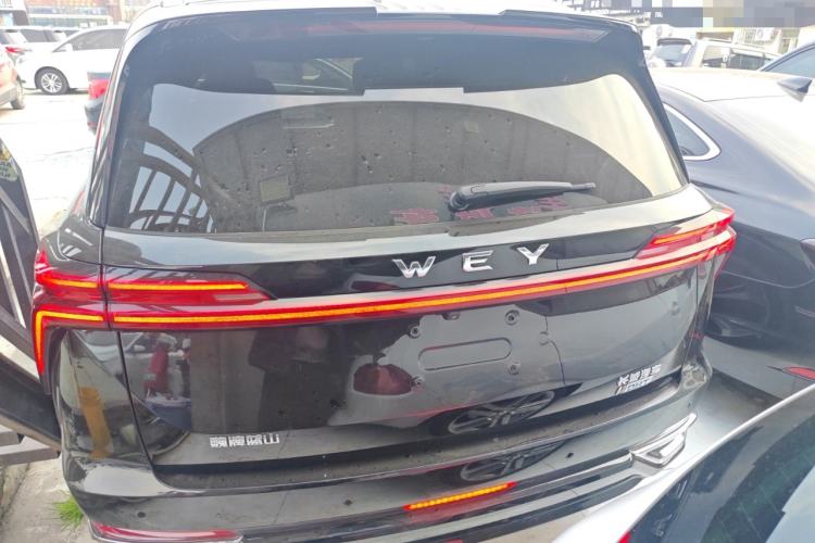 Used Wey Lanshan 2023 Four-Wheel Drive Ultra-Long Range Version