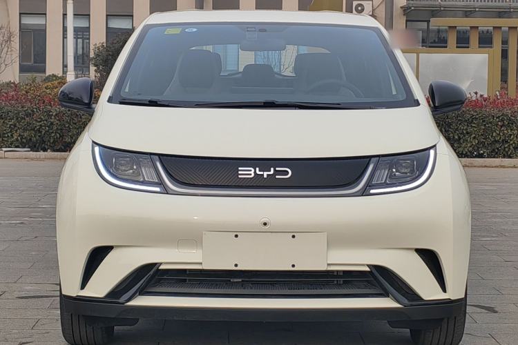 Used BYD Dolphin 2025 420km Free Edition
