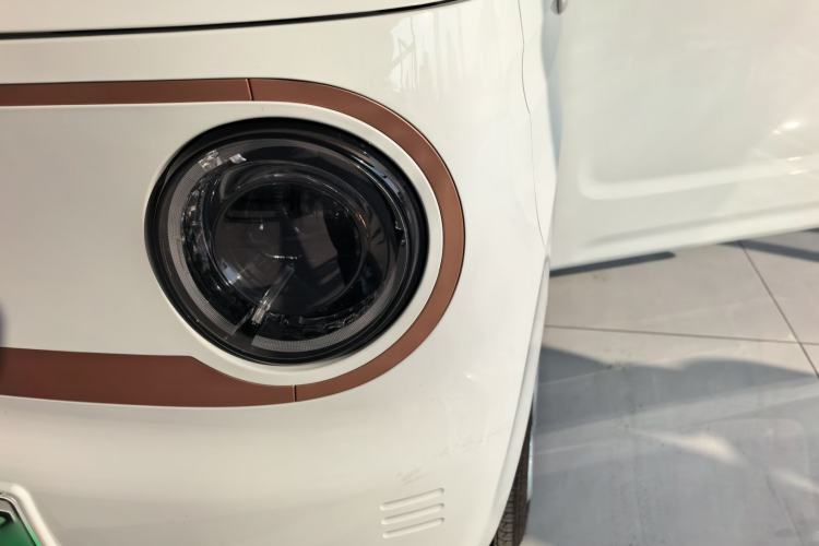 Used  Panda 2024 Panda Mini 200km Endurance Bear
