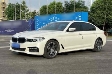 Used BMW 5 Series 2018 530Li Leading Model M Sport Package