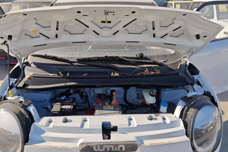 Used  Lumin 2025 205 km Xiangqin Version