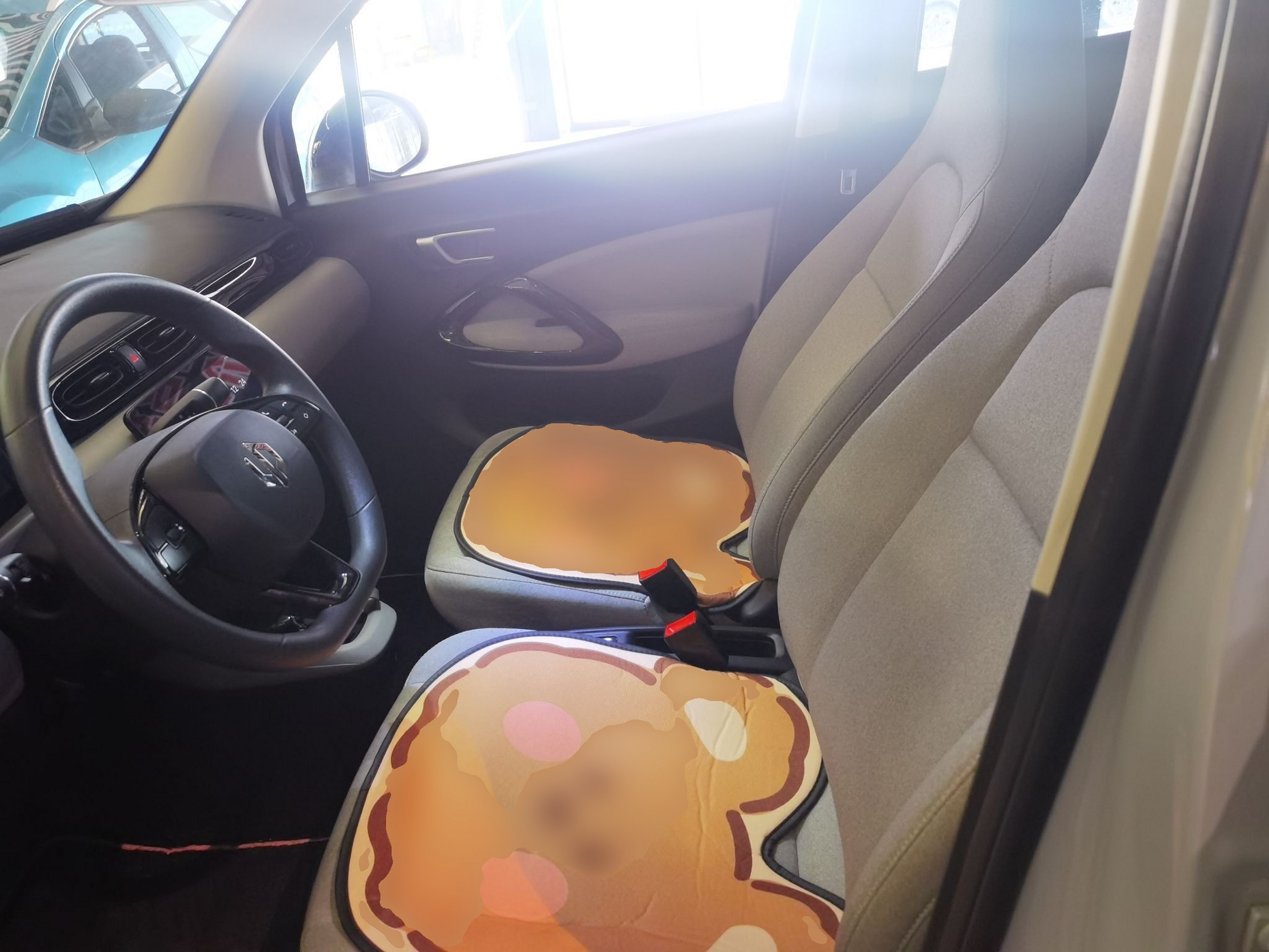 المقاعد الأمامية داخل السيارة