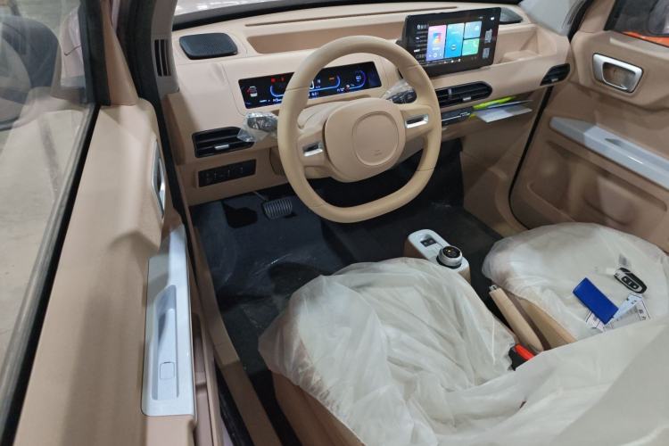 Used  Panda 2024 Panda Mini 200km Endurance Bear