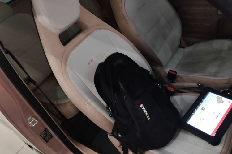 Used  Panda 2023 Panda Mini 200km Endurance Bear
