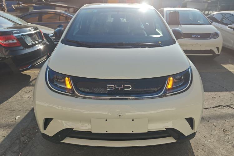 Used BYD Dolphin 2025 420km Free Edition
