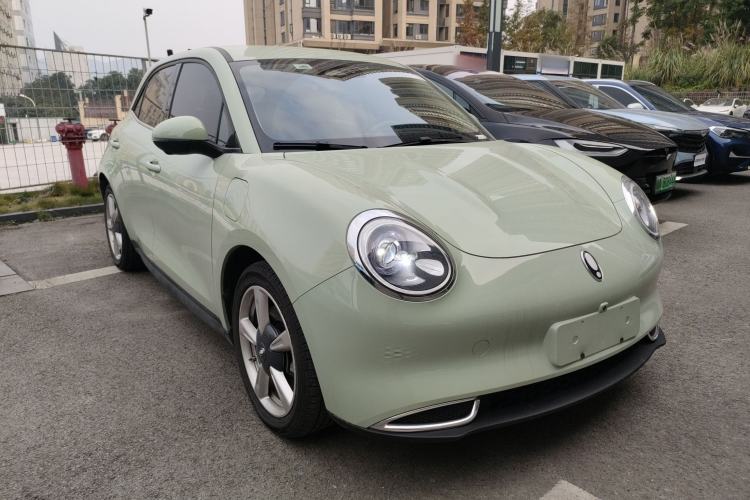 Used ORA Good Cat 2023 401 km Standard Range Luxury Version Lithium Iron Phosphate