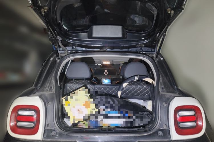 Used ORA Black Cat 2021 351 km Standard Version
