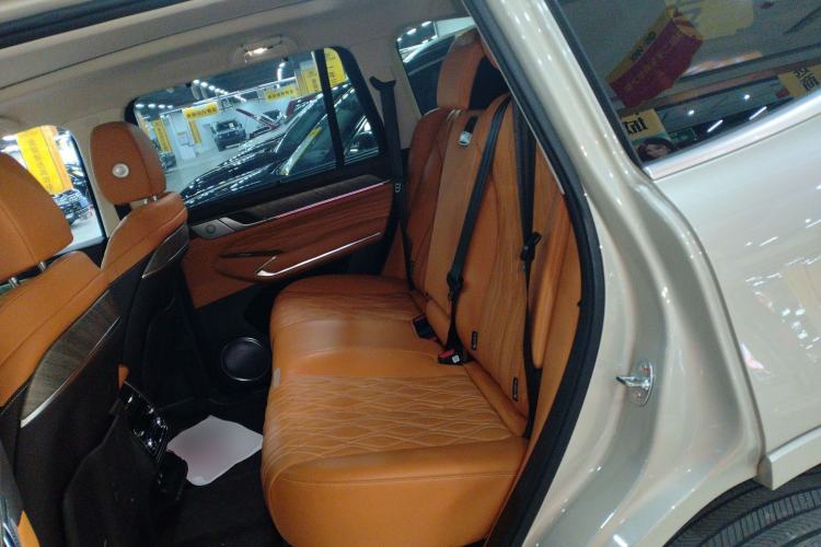 Used Tank 500 New Energy 2024 Hi4-T