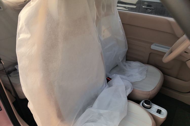 Used  Panda 2024 Panda Mini 200km Endurance Bear
