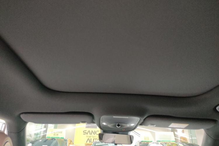 Used  #1 2024 Dynamic Standard Edition