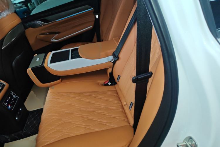 Used Tank 500 New Energy 