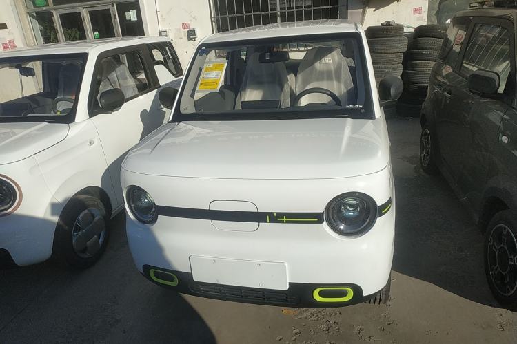Used  Panda 2025 210 km – Yuanqi Bear