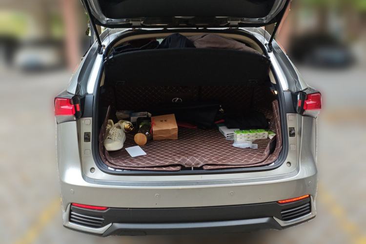 Used Lexus NX 2018 200 Front-Wheel-Drive Xingxing Edition China VI Standard