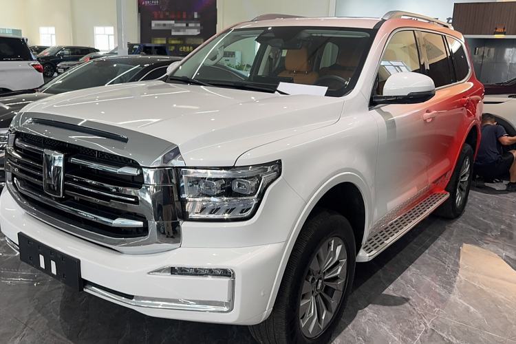 Used Tank 500 New Energy 2025 Hi4-Z
