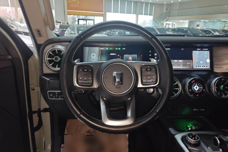 Used Tank 300 2021 City Edition 2.0T My Vision Model