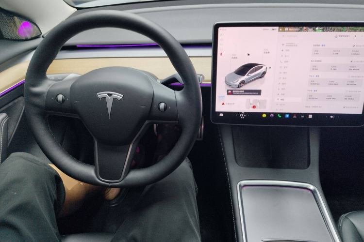 Used Tesla Model 3 2022 Performance High-Performance All-Wheel-Drive Version
