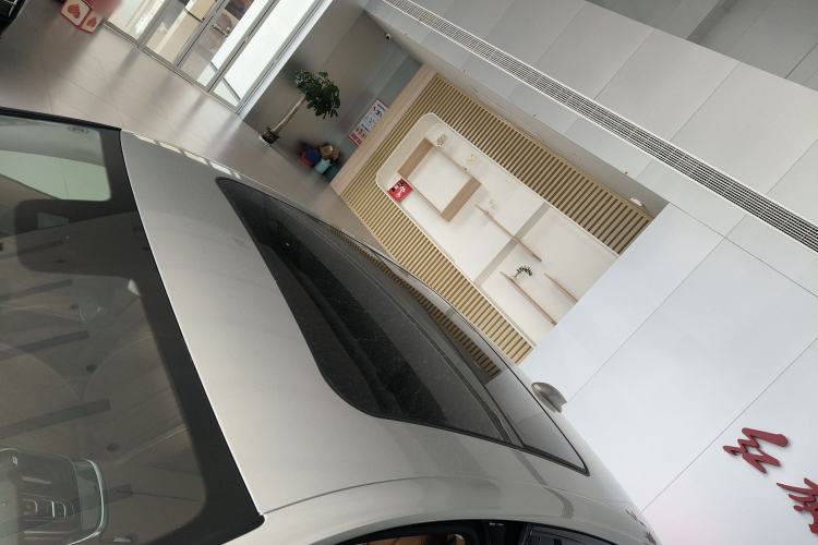 Used Hongqi H9 2024 2.0T Qichang Private Enjoyment Luxury Edition
