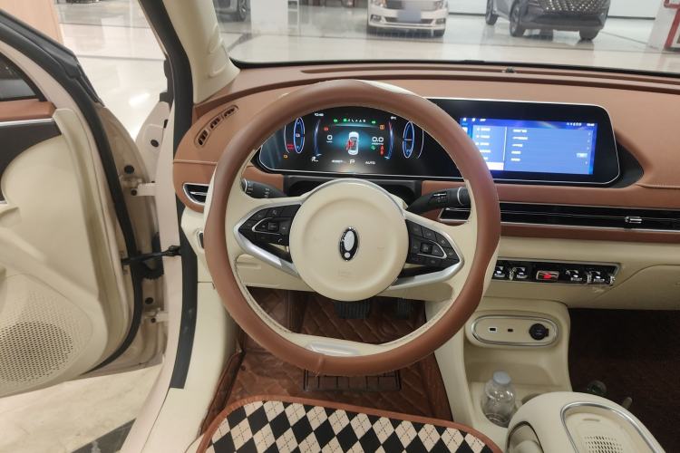 Used ORA Good Cat 2023 401 km Standard Range Luxury Version Ternary Lithium
