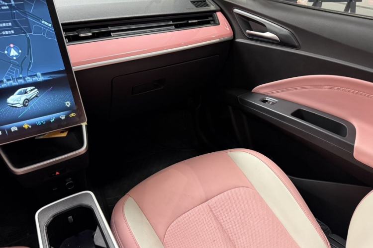 Used NETA V 2021 Witch Edition
