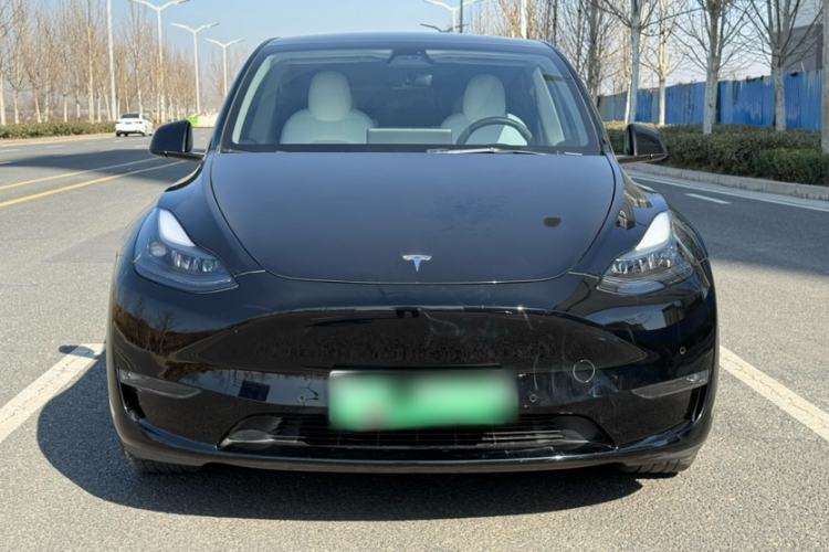 Used Tesla Model Y 2021 Standard Range Rear-Wheel Drive Version
