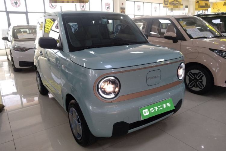 Used  Panda 2024 Panda Mini 200km Longteng PRO Edition
