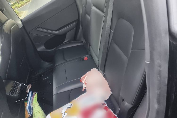 Used Tesla Model Y 2022 Rear-Wheel-Drive Version