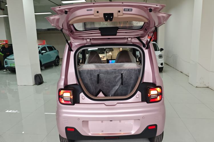 Used  Panda 2024 Panda Mini 200km Endurance Bear