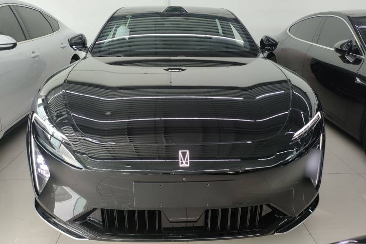 Used  06 2025 Max All-Electric Version
