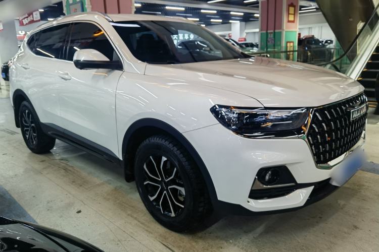 Used Haval H6 2023 National Trend Edition 1.5T Automatic Urban Version
