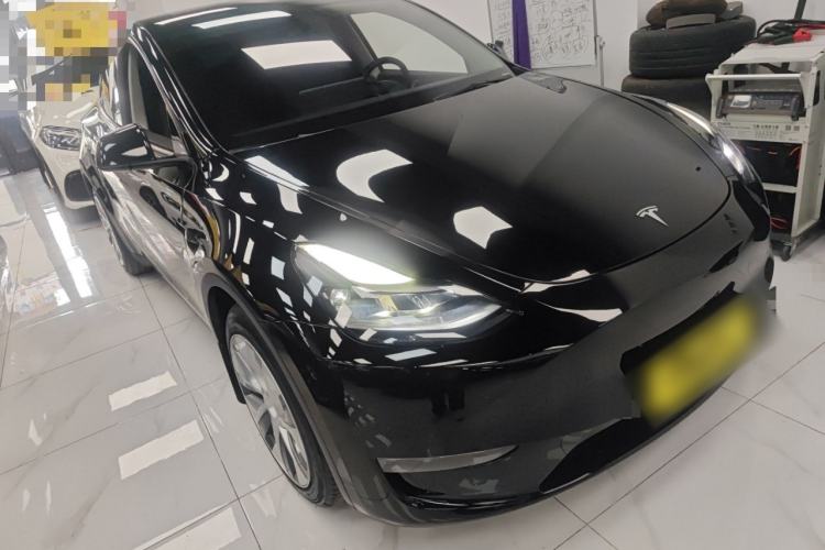 Used Tesla Model Y 2021 Standard Range Rear-Wheel Drive Version
