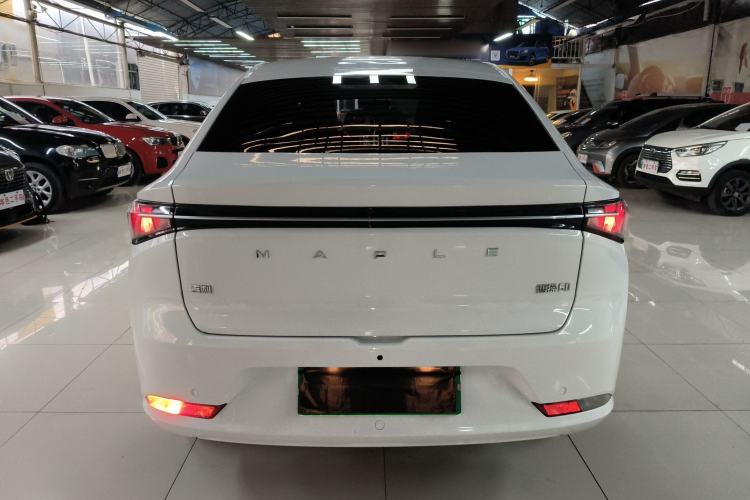 Used  60 2024 60 Pro