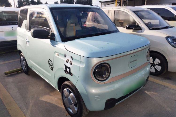 Used  Panda 2023 Panda Mini 200km Endurance Bear
