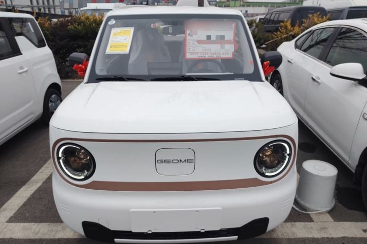 Used  Panda 2024 Panda Mini 200km Endurance Bear