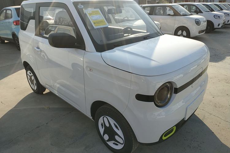 Used  Panda 2025 210 km – Yuanqi Bear

