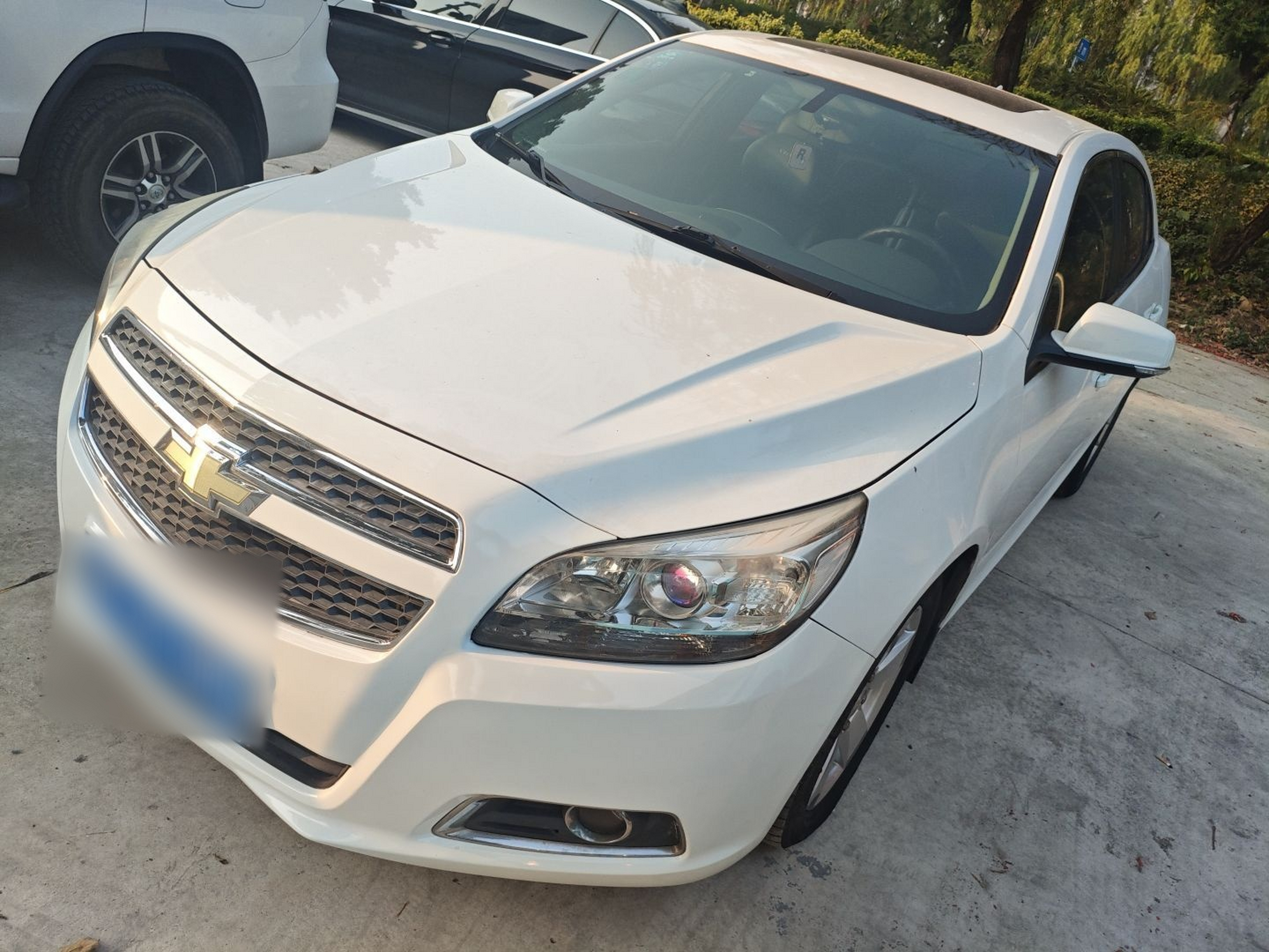 تحت مقدمة السيارة