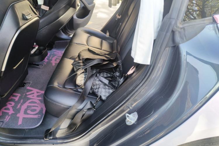 Used Tesla Model 3 2020 Revised Version Standard Range Rear-Wheel Drive – Upgraded Edition