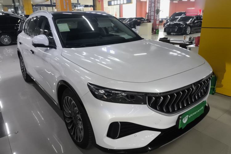 Used VOYAH FREE 2021 Two-Wheel Drive Standard Pure Electric City Edition