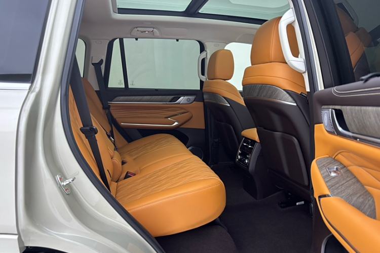 Used Tank 500 New Energy 2025 Hi4-Z
