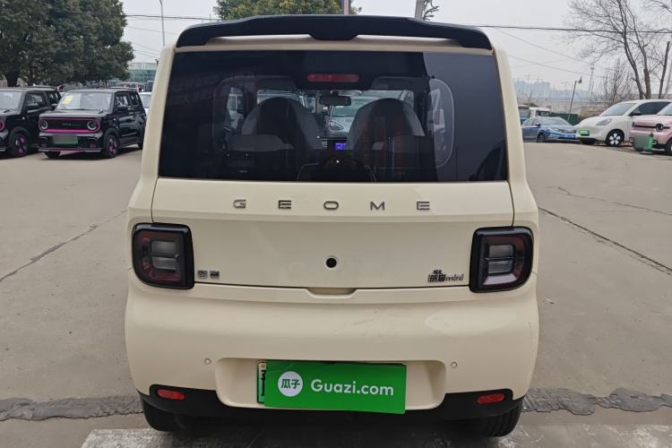 Used  Panda 2025 210 km – Yuanqi Bear
