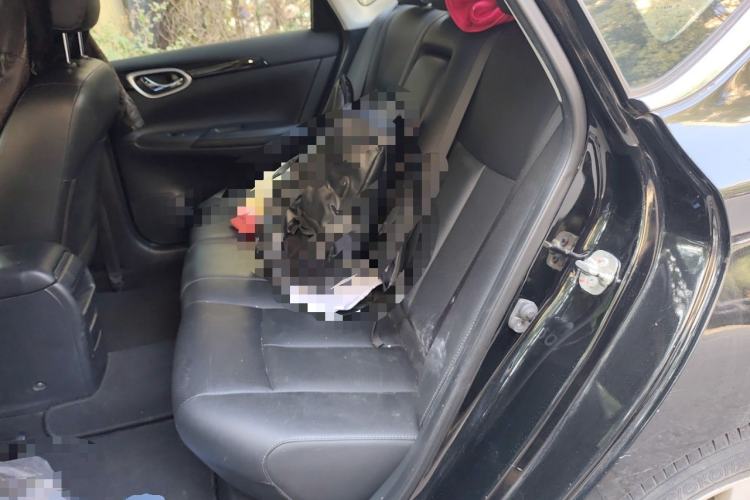 Used Nissan Sylphy 2019 Classic 1.6XL CVT Luxury Edition